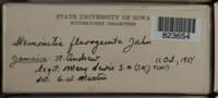Image Associated With the Occurence